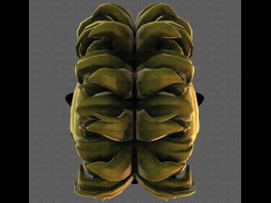 3D Hair style for boy V114 3D Модель
