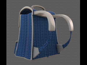 Bag V13 3D Model