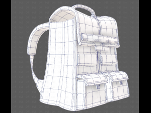 Bag V13 3D Model