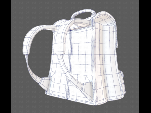 Bag V13 3D Model
