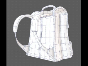 Bag V13 3D Model