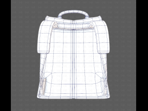Bag V13 3D Model