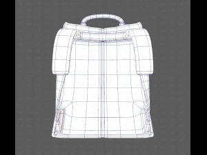 Bag V13 3D Model