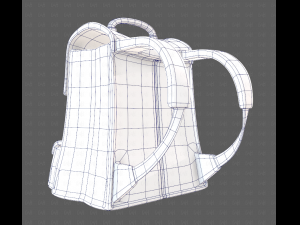 Bag V13 3D Model