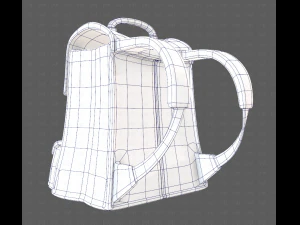 Bag V13 3D Model
