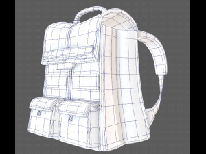 Bag V13 3D Model