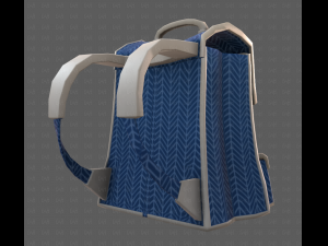 Bag V13 3D Model