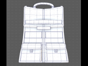 Bag V13 3D Model