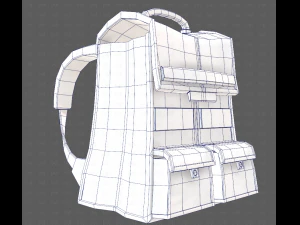 Bag V13 3D Model