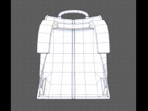 Bag V13 3D Model