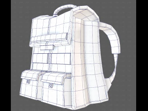 Bag V13 3D Model