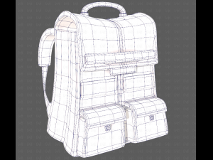 Bag V13 3D Model