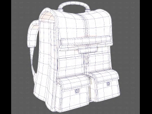 Bag V13 3D Model