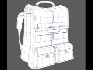 Bag V13 3D Model