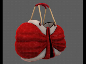 Bag V14 3D Model