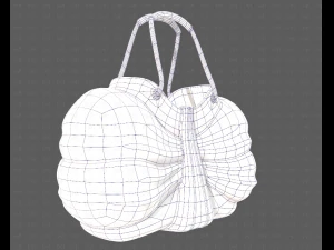 Bag V14 3D Model