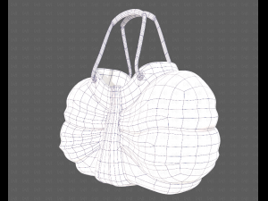 Bag V14 3D 모델
