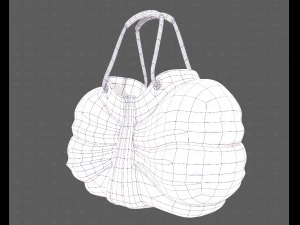 Bag V14 3D Model