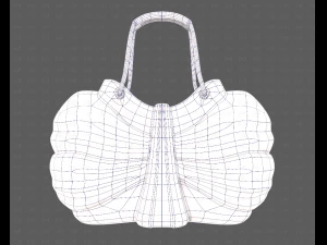 Bag V14 3D Model
