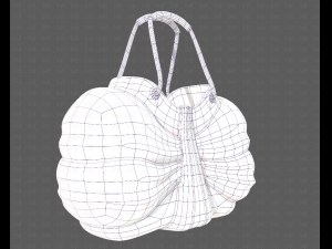 Bag V14 3D 모델