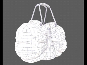 Bag V14 3D Model