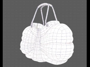 Bag V14 3D Model