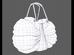 Bag V14 3D 모델