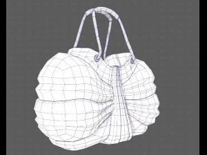 Bag V14 3D Model