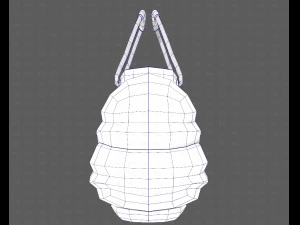 Bag V14 3D Model