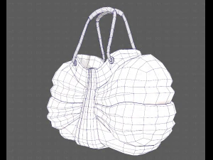 Bag V14 3D Model