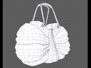 Bag V14 3D Model
