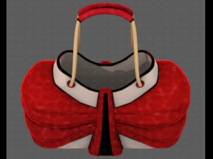 Bag V14 3D Model
