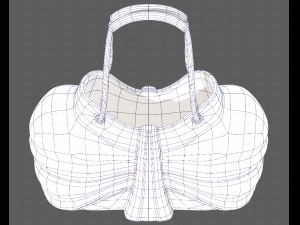 Bag V14 3D 모델