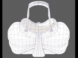 Bag V14 3D Model