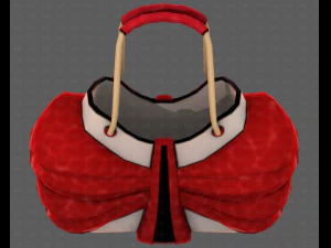 Bag V14 3D Model