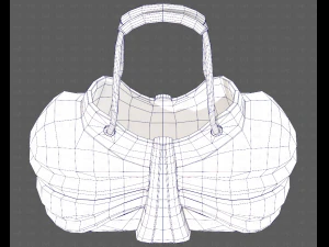Bag V14 3D Model