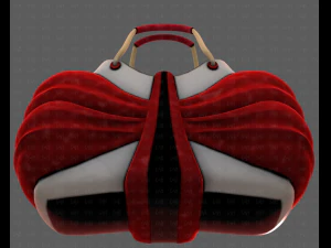 Bag V14 3D Model