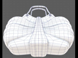 Bag V14 3D Model