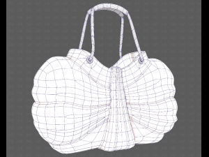 Bag V14 3D 모델