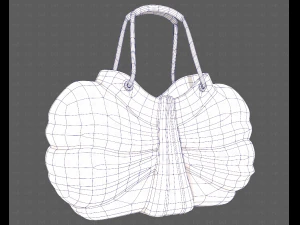 Bag V14 3D Model