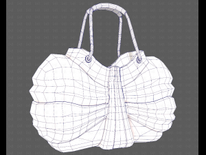 Bag V14 3D 모델