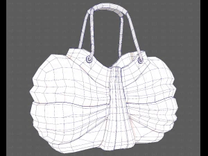 Bag V14 3D Model