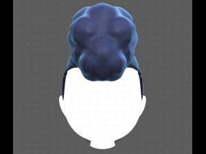 Base Hair for Boy V55 3D Model