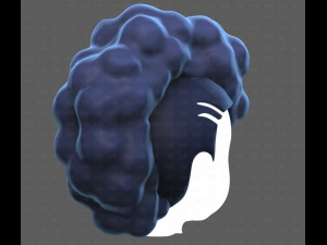 Base Hair for Boy V55 3D Model