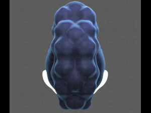 Base Hair for Boy V55 3D Model