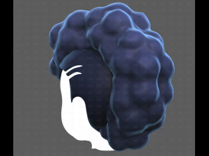 Base Hair for Boy V55 3D Model