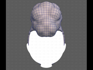 Base Hair for Boy V55 Modelo 3D