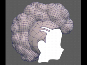 Base Hair for Boy V55 3D Model