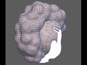 Base Hair for Boy V55 Modelo 3D