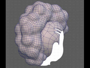 Base Hair for Boy V55 3D Model